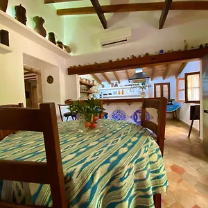 Puerto De Pollensa And Apartments, With Private Mountain Ideal For Runners, Trailers,near Approximately 5 Minutes Walking, Unique Experience In A Ullal Old Typical Mallorca House With Private Mountain And Near To The Beac Port de Pollença